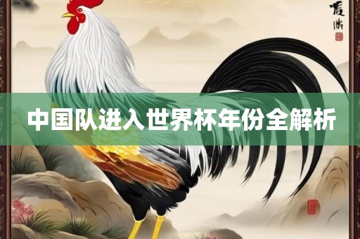 中国队进入世界杯年份全解析