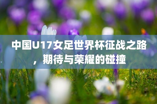 中国U17女足世界杯征战之路，期待与荣耀的碰撞