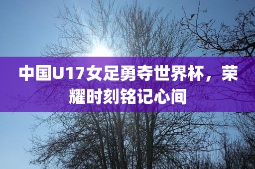中国U17女足勇夺世界杯，荣耀时刻铭记心间眉山市正发家政服务有限公司