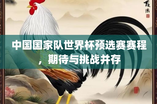 中国国家队世界杯预选赛赛程，期待与挑战并存眉山市正发家政服务有限公司