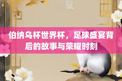 伯纳乌杯世界杯，足球盛宴背后的故事与荣耀时刻眉山市正发家政服务有限公司