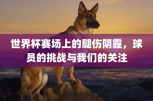 世界杯赛场上的腿伤阴霾，球员的挑战与我们的关注