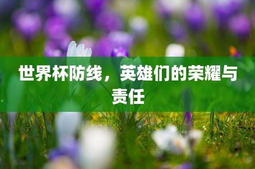 世界杯防线，英雄们的荣耀与责任眉山市正发家政服务有限公司