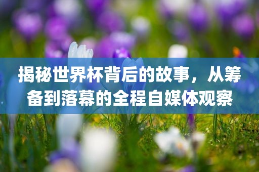 揭秘世界杯背后的故事，从筹备到落幕的全程自媒体观察眉山市正发家政服务有限公司