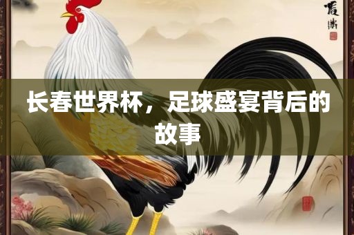 长春世界杯，足球盛宴背后的故事