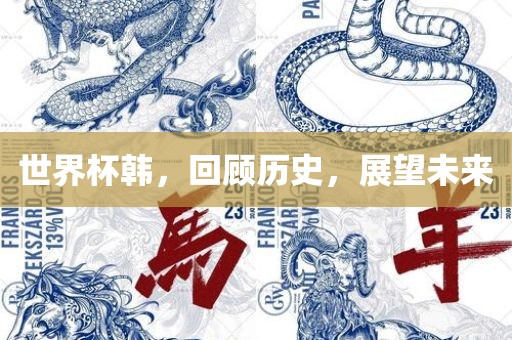 世界杯韩，回顾历史，展望未来