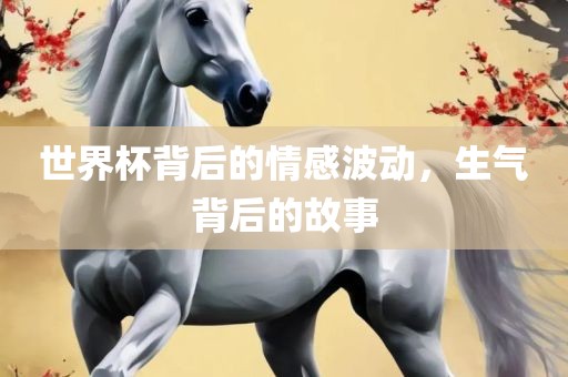 世界杯背后的情感波动，生眉山市正发家政服务有限公司气背后的故事
