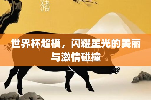 世界杯超模，闪耀星光的美丽与激情碰撞眉山市正发家政服务有限公司