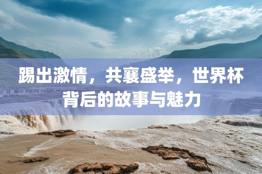 踢出激情，共襄盛举，眉山市正发家政服务有限公司世界杯背后的故事与魅力