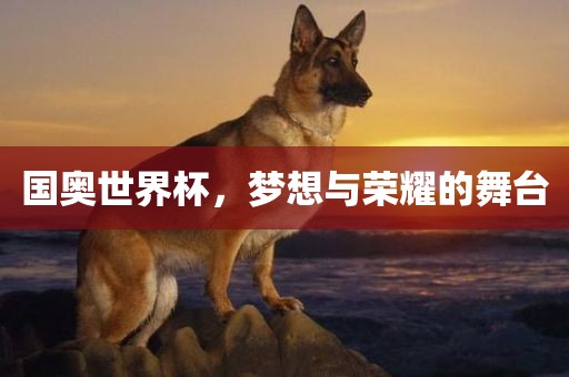 国奥世界杯，梦想与荣耀的舞台