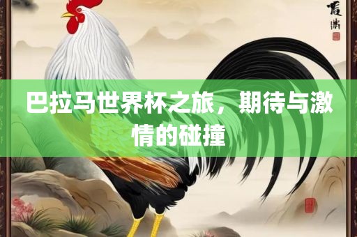 巴拉马世界杯之旅，期待与激情的碰撞