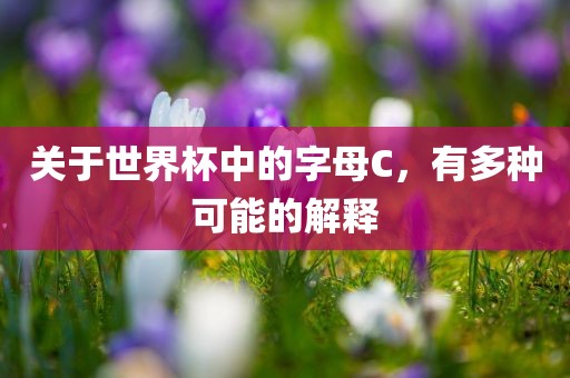 关于世眉山市正发家政服务有限公司界杯中的字母C，有多种可能的解释