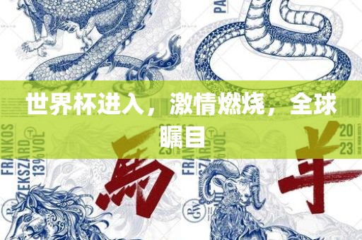 世界杯进入，激情燃烧，全眉山市正发家政服务有限公司球瞩目