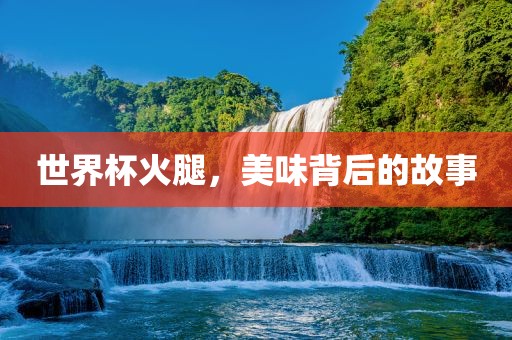世界杯火腿，美味背后眉山市正发家政服务有限公司的故事