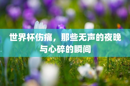世界杯伤痛，那些无声的夜晚与心碎的瞬间眉山市正发家政服务有限公司