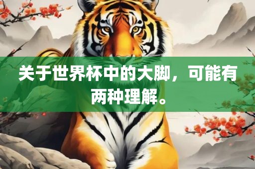 关于世界杯中的大脚，可能有两种理解。眉山市正发家政服务有限公司