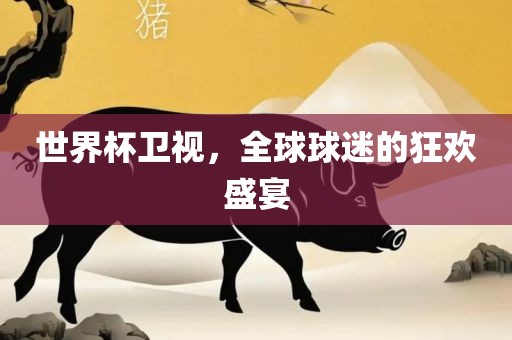 世界杯卫视，全球球迷的狂欢盛宴