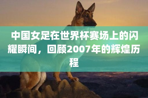 中国女足在世界杯赛场上的闪耀瞬间，回顾2007年的辉煌历程