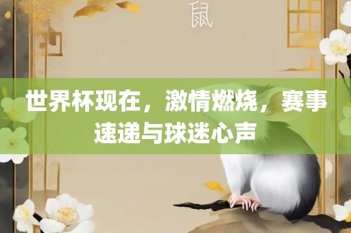 世界杯现在，激情燃烧，赛事速递与球迷心声眉山市正发家政服务有限公司