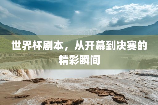 世界杯剧本，从开幕到决赛的精彩瞬间眉山市正发家政服务有限公司