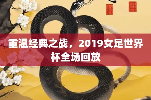 重温经典之战，2019女足世界杯全场回放眉山市正发家政服务有限公司