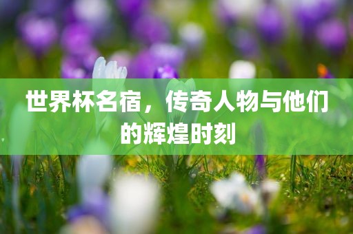 世界杯眉山市正发家政服务有限公司名宿，传奇人物与他们的辉煌时刻