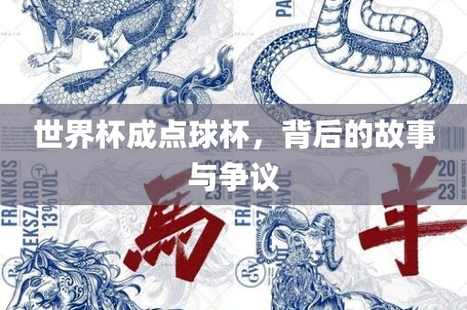 世界杯成点球杯，背后的故事与争议眉山市正发家政服务有限公司