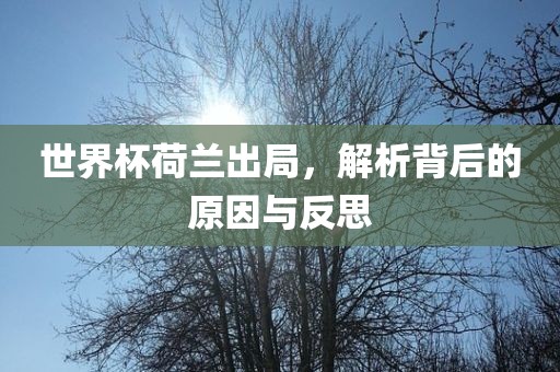 世界杯荷兰出局，解析背后的原因与反思眉山市正发家政服务有限公司