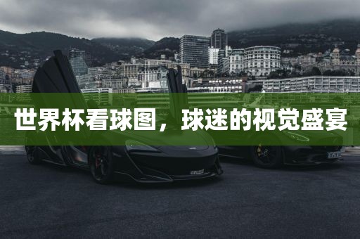 世界杯看球图，球迷的视觉盛宴眉山市正发家政服务有限公司