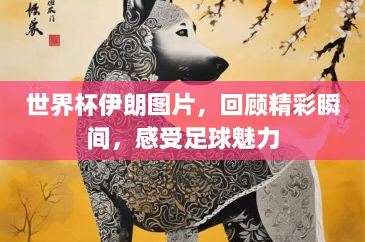 世界杯伊朗图片，回顾精彩瞬间，感受足眉山市正发家政服务有限公司球魅力