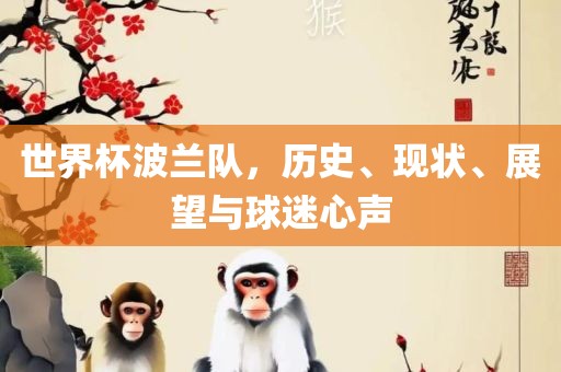 世界杯波兰队，历史、现状、展望与球迷心声眉山市正发家政服务有限公司