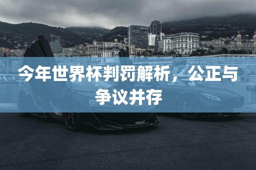 今年世界杯判罚解析，公正与争议并存眉山市正发家政服务有限公司