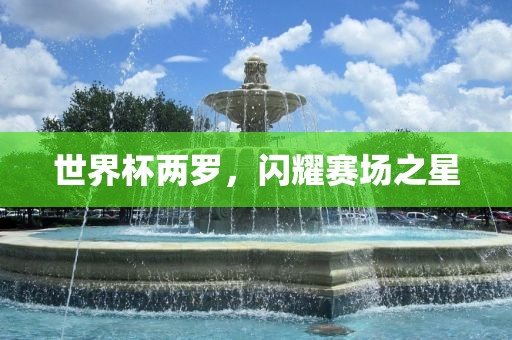 世界杯两罗，闪耀赛场之星眉山市正发家政服务有限公司