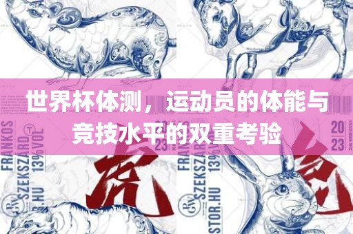 世界杯体测，运动员的体能与竞技水平的双重考验眉山市正发家政服务有限公司