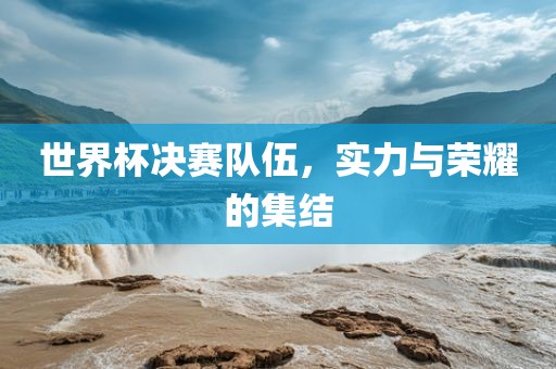 世界杯决赛队伍，实力与荣耀的集结眉山市正发家政服务有限公司