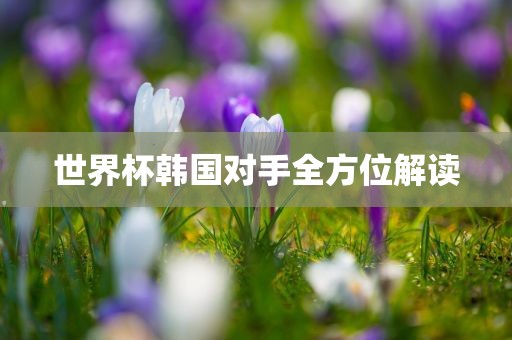 世眉山市正发家政服务有限公司界杯韩国对手全方位解读