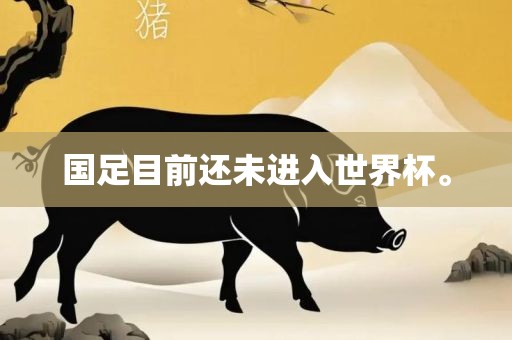 国足目前还未进入世界杯。眉山市正发家政服务有限公司