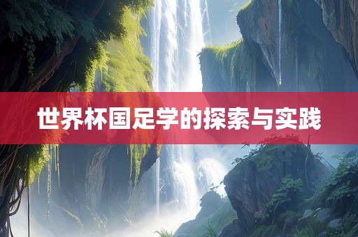 世界杯国足学的探索与实践