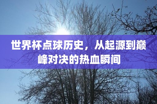 世界杯点球历史，从起源到巅峰对决的热血瞬间