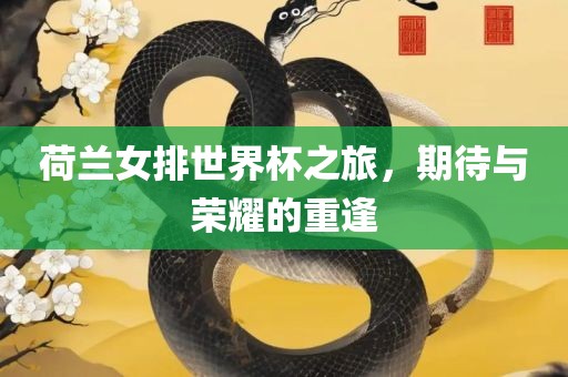荷兰女排世界杯之旅，期待与荣耀的重逢眉山市正发家政服务有限公司