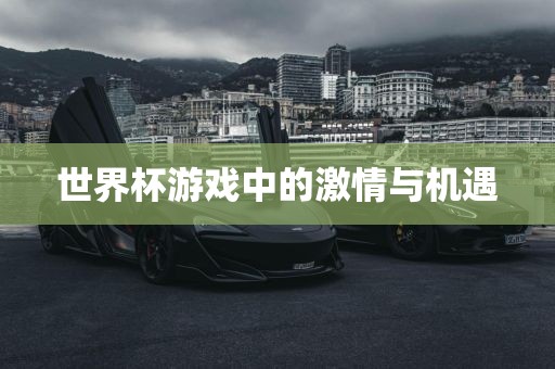 世界杯游戏中的激情与机遇眉山市正发家政服务有限公司