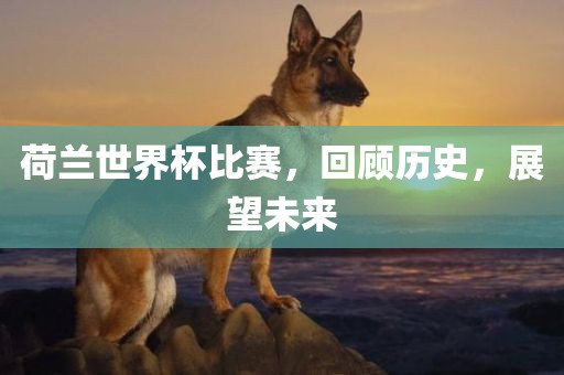 荷兰世界杯比赛，回顾历史，展望未来眉山市正发家政服务有限公司