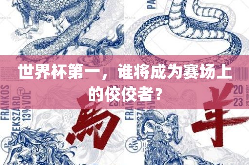 世界杯第一，谁将成为赛场上的佼佼者？