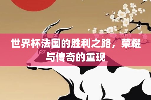 世界杯法国的胜利之路，荣耀与传奇的重现