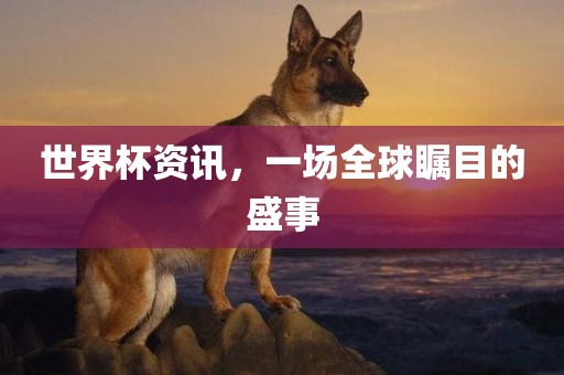 世界杯资讯，一场全球瞩目的盛事