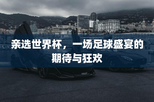 亲选世界杯，一场足球盛宴的期待与狂欢