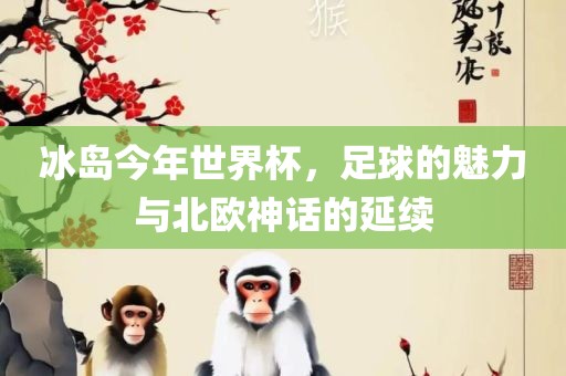 冰岛今年世界杯，足球的魅力与北欧神话的延续眉山市正发家政服务有限公司