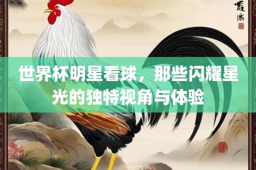 世界杯明星看球，那些闪耀星光的独特视角与体验眉山市正发家政服务有限公司