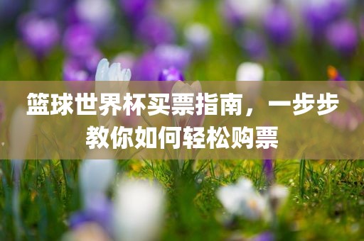篮球世界杯买票指南，一步步教你如何轻松购票