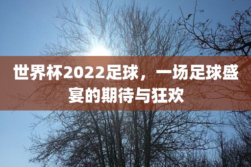 眉山市正发家政服务有限公司世界杯2022足球，一场足球盛宴的期待与狂欢